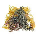 Raw Sea Moss